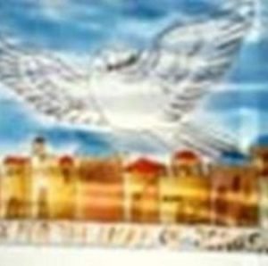 "Jerusalem with Dove" 9' Silk Flag/Billow K.S.